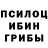 Псилоцибиновые грибы Psilocybe Californikesha