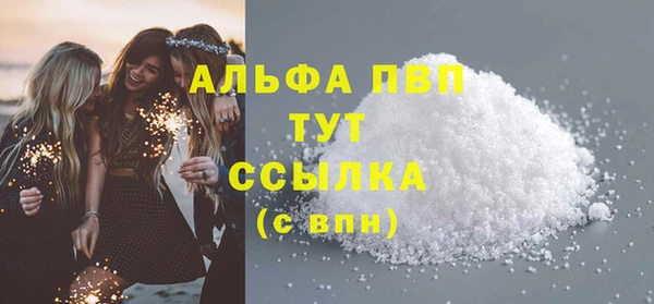 прущие грибы Каменногорск