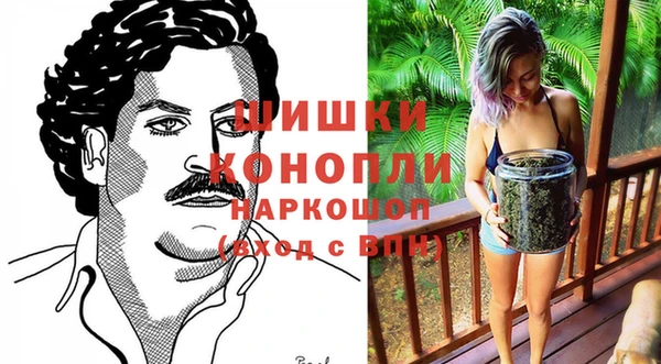 прущие грибы Каменногорск