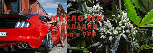 прущие грибы Каменногорск