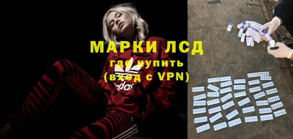 молекула духа Инсар