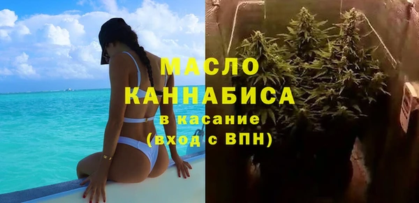 прущие грибы Каменногорск