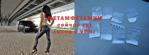 прущие грибы Каменногорск