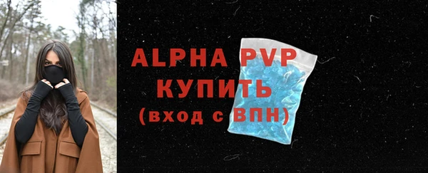 молекула духа Инсар