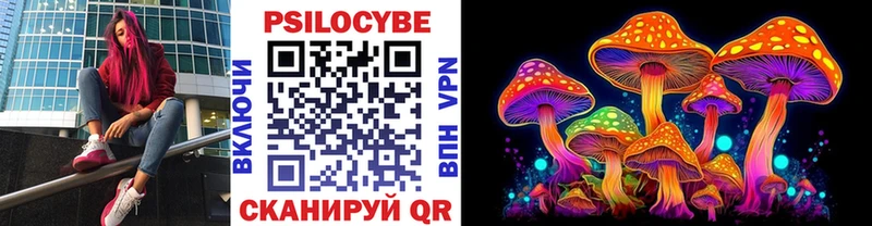 Купить  Дятьково  Псилоцибиновые грибы мицелий 